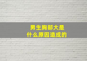 男生胸部大是什么原因造成的