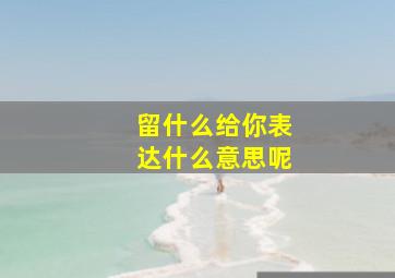 留什么给你表达什么意思呢