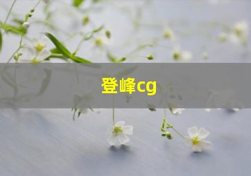 登峰cg