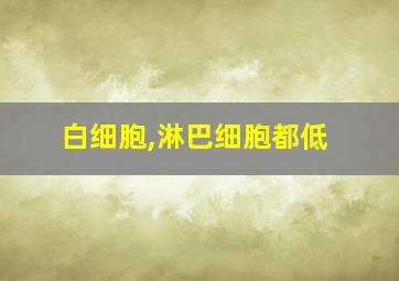 白细胞,淋巴细胞都低