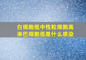 白细胞低中性粒细胞高淋巴细胞低是什么感染