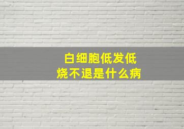 白细胞低发低烧不退是什么病