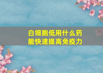 白细胞低用什么药能快速提高免疫力