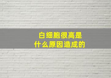 白细胞很高是什么原因造成的