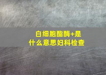 白细胞酯酶+是什么意思妇科检查