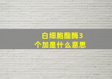 白细胞酯酶3个加是什么意思