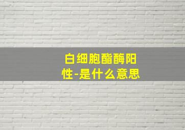 白细胞酯酶阳性-是什么意思