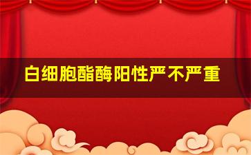 白细胞酯酶阳性严不严重