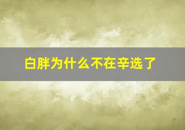 白胖为什么不在辛选了