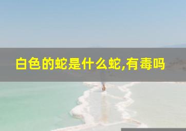 白色的蛇是什么蛇,有毒吗