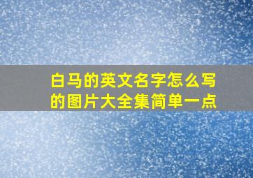 白马的英文名字怎么写的图片大全集简单一点