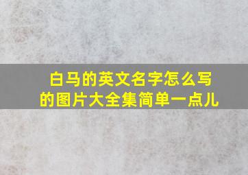 白马的英文名字怎么写的图片大全集简单一点儿