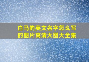 白马的英文名字怎么写的图片高清大图大全集