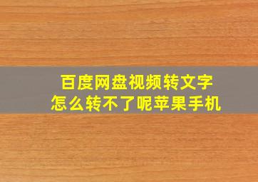 百度网盘视频转文字怎么转不了呢苹果手机