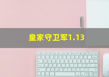 皇家守卫军1.13