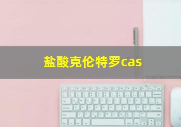 盐酸克伦特罗cas