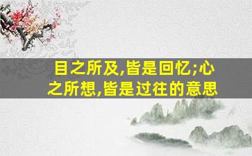 目之所及,皆是回忆;心之所想,皆是过往的意思