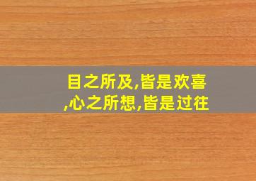 目之所及,皆是欢喜,心之所想,皆是过往