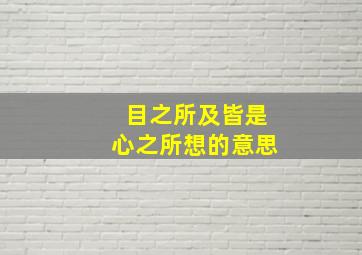 目之所及皆是心之所想的意思