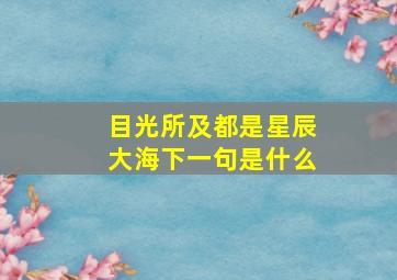 目光所及都是星辰大海下一句是什么