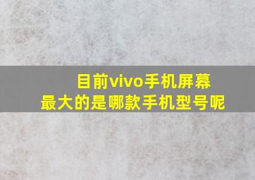 目前vivo手机屏幕最大的是哪款手机型号呢