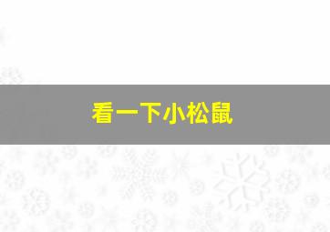 看一下小松鼠