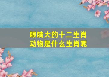 眼睛大的十二生肖动物是什么生肖呢