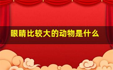 眼睛比较大的动物是什么