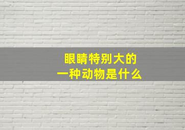 眼睛特别大的一种动物是什么