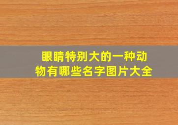 眼睛特别大的一种动物有哪些名字图片大全