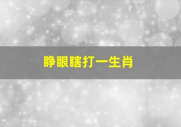 睁眼瞎打一生肖