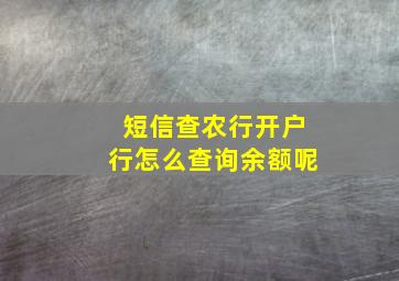 短信查农行开户行怎么查询余额呢