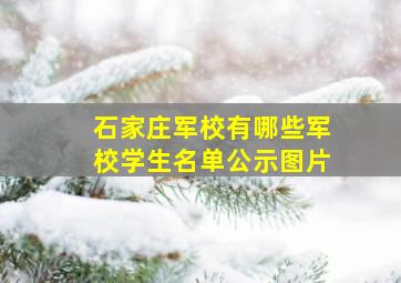 石家庄军校有哪些军校学生名单公示图片