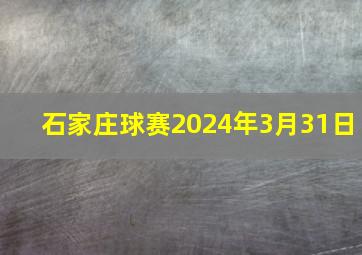 石家庄球赛2024年3月31日