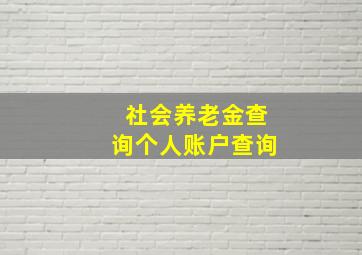 社会养老金查询个人账户查询