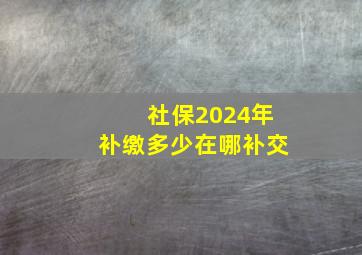 社保2024年补缴多少在哪补交