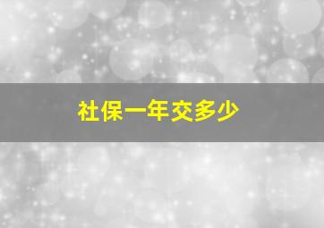 社保一年交多少