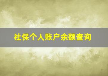 社保个人账户余额查询