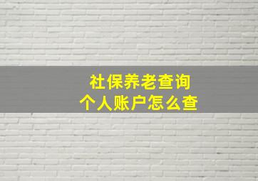 社保养老查询个人账户怎么查