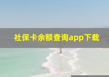 社保卡余额查询app下载