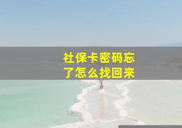 社保卡密码忘了怎么找回来