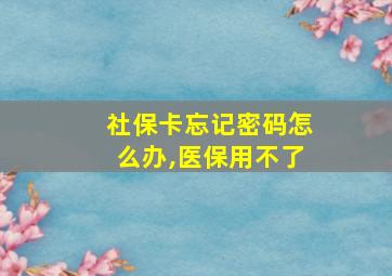 社保卡忘记密码怎么办,医保用不了