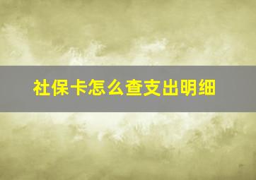 社保卡怎么查支出明细