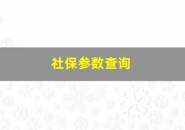 社保参数查询