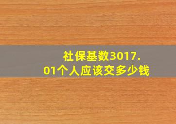 社保基数3017.01个人应该交多少钱