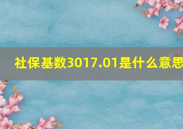 社保基数3017.01是什么意思