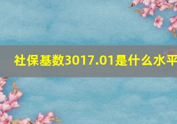 社保基数3017.01是什么水平