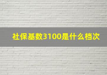 社保基数3100是什么档次