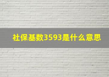 社保基数3593是什么意思