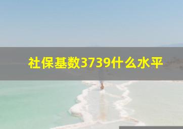 社保基数3739什么水平